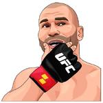 PARIMATCH + UFC