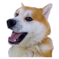 Кулебяка