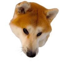 Кулебяка