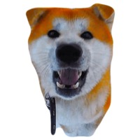 Кулебяка