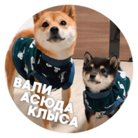 Набор стикеров Песики