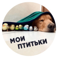 Песики