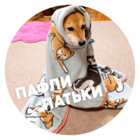 Песики