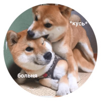 Песики