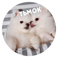 Песики