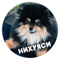 Песики