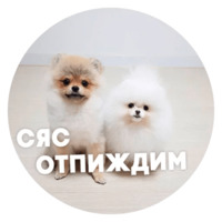 Песики