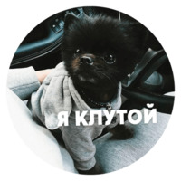 Песики