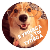 Песики