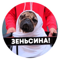 Песики