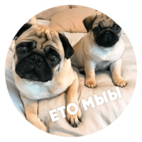 Песики