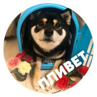 Песики