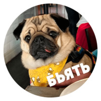 Песики