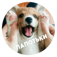 Песики
