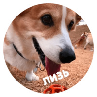 Песики