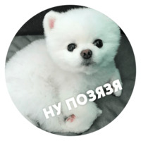 Песики