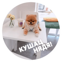 Песики