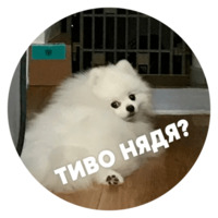 Песики