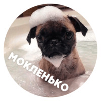 Песики