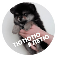 Песики