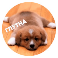Песики