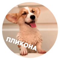 Песики