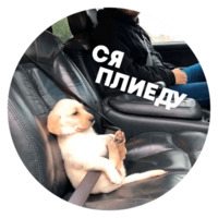 Песики