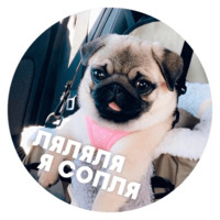 Песики