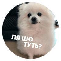 Песики
