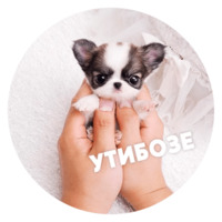 Песики