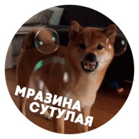 Песики