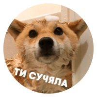 Песики
