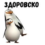 Пингвины из Мадагаскара