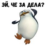 Пингвины из Мадагаскара