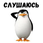 Пингвины из Мадагаскара