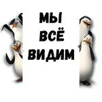 Пингвины из Мадагаскара