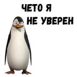 Пингвины из Мадагаскара