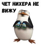Пингвины из Мадагаскара