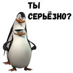 Пингвины из Мадагаскара