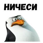 Пингвины из Мадагаскара