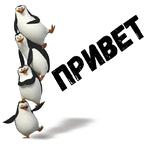 Пингвины из Мадагаскара