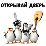 Пингвины из Мадагаскара