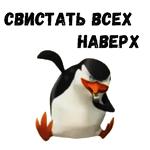 Пингвины из Мадагаскара