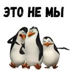 Пингвины из Мадагаскара