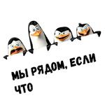 Пингвины из Мадагаскара