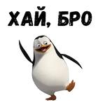 Пингвины из Мадагаскара