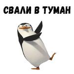 Пингвины из Мадагаскара