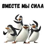 Пингвины из Мадагаскара