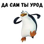 Пингвины из Мадагаскара