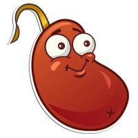 Plants vs Zombies